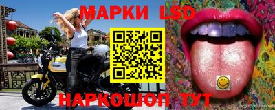 шишки Ачхой-Мартан
