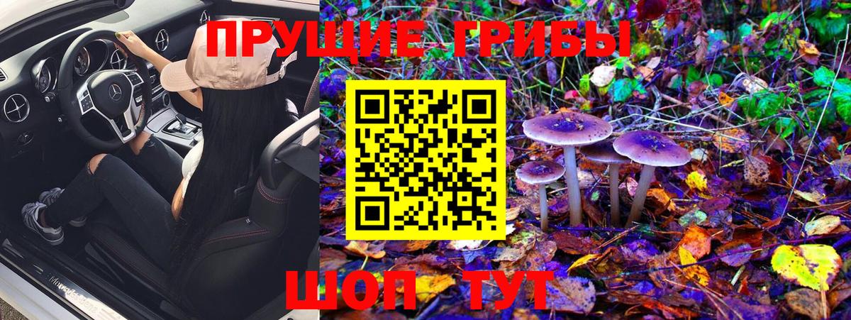 Галлюциногенные грибы Cubensis Новый Уренгой