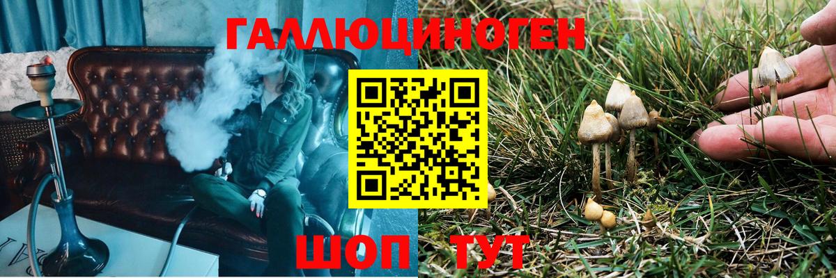 Галлюциногенные грибы ЛСД  Вход с VPN  Новый Уренгой 